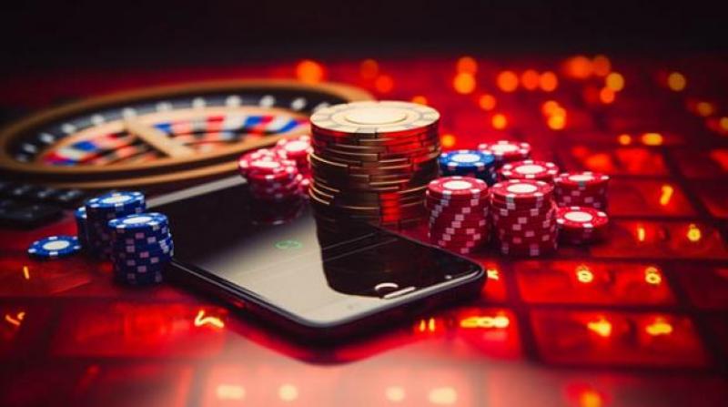 Discover the Thrills of WildRobin Casino & Sportsbook 22