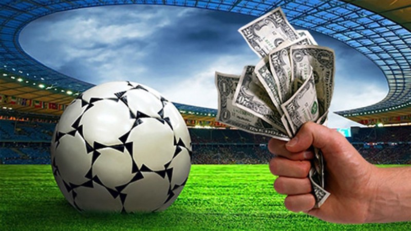 Everything You Need to Know About Betwinner 14