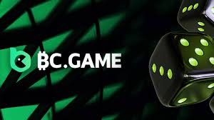 Understanding BC CO India The Future of Online Gaming Understanding BC CO India The Future of Online Gaming