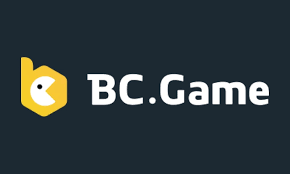 Understanding BC CO India The Future of Online Gaming Understanding BC CO India The Future of Online Gaming