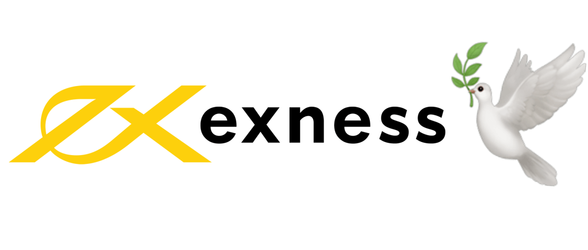 Comprehensive Guide to Trading with Exness Group - site exness.com exness group